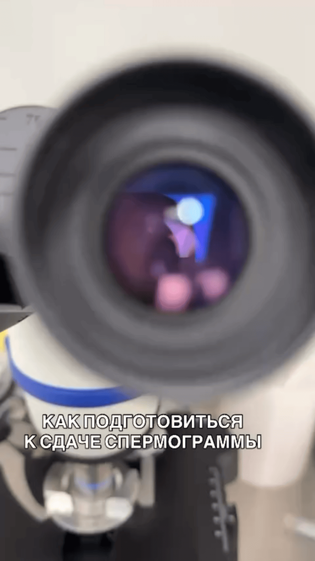 КАК ПОДГОТОВИТЬСЯ К СДАЧЕ СПЕРМОГРАММЫ