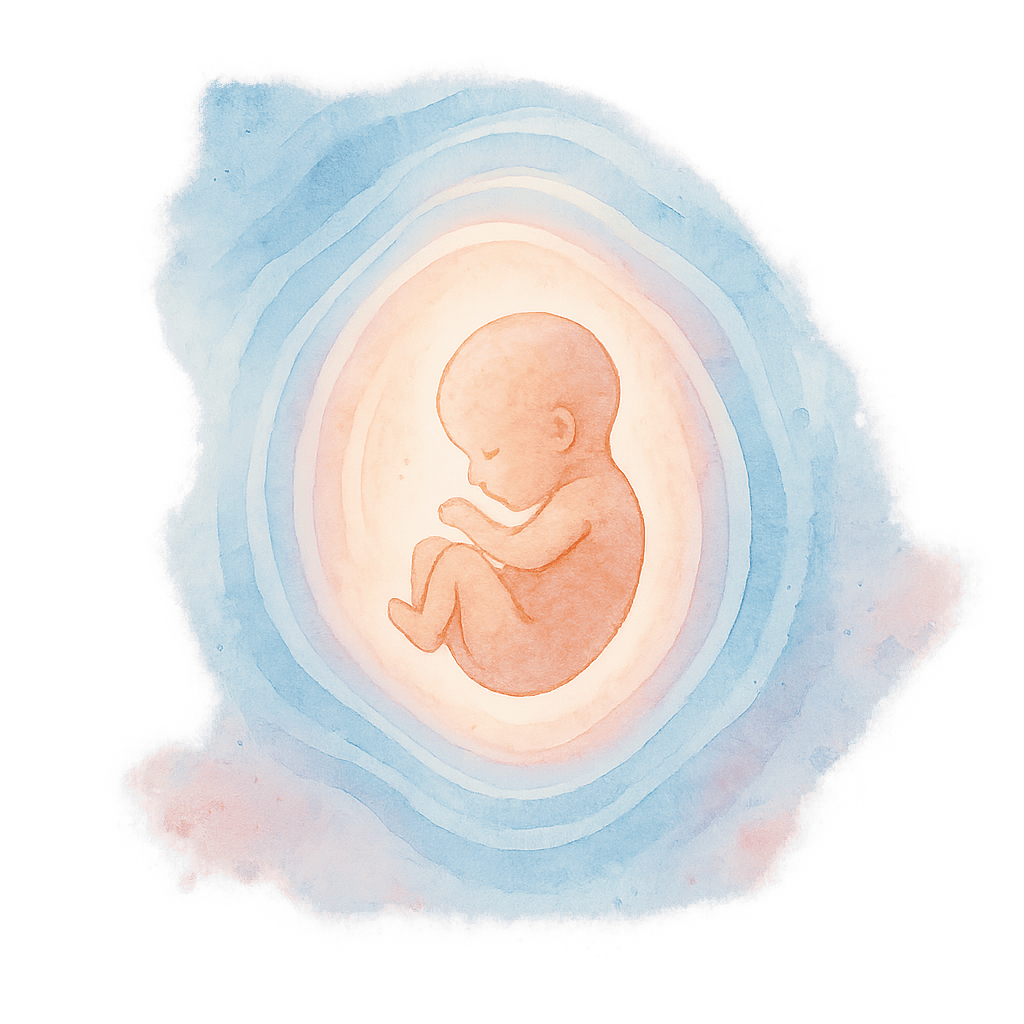 Плодное яйцо в углу матки: стоит ли беспокоиться о расположении эмбриона?