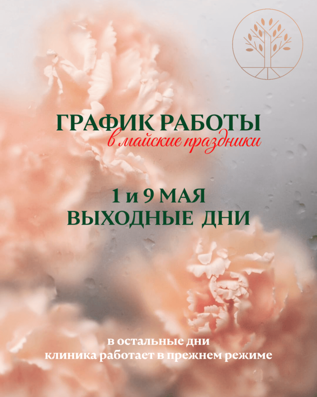 ГРАФИК РАБОТЫ