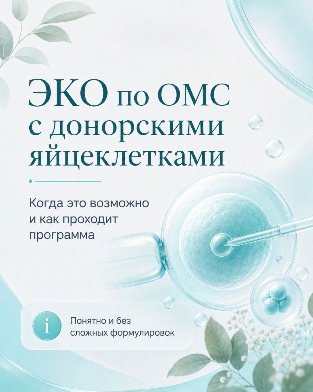 ЭКО по ОМС + донорские яйцеклетки: так можно?