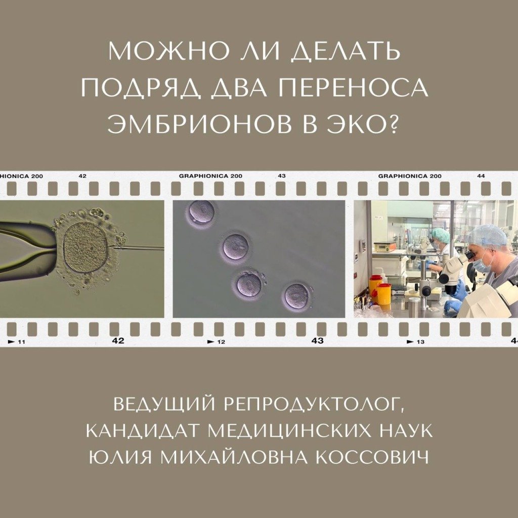Можно ли делать подряд два переноса эмбрионов в ЭКО?