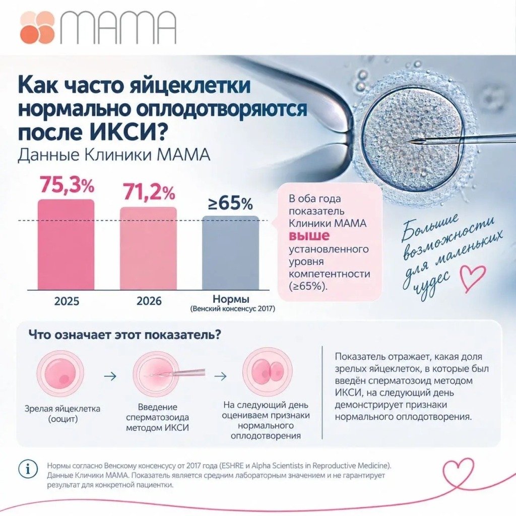 Как часто яйцеклетки нормально оплодотворяются после ИКСИ?