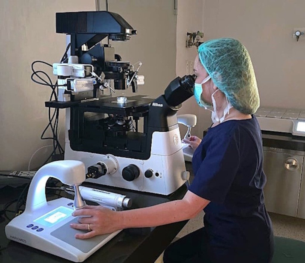 Эмбриолог Центра репродуктивного здоровья «СМ-Клиника», кандидат биологических наук Нина Саяпина прошла стажировку в клинике репродуктивной медицины IVF CENTER Soranus в турецком городе Бурса.